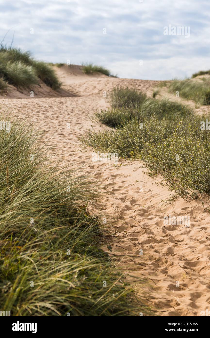Foot prints seen leading over a tall sand dune towards Formby beach