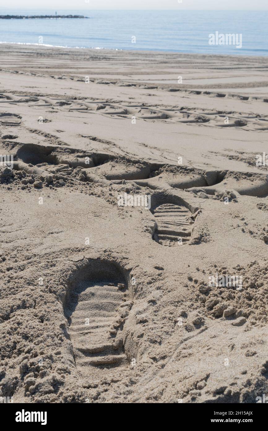 Sand Tracks Photograph Washington Coast Print