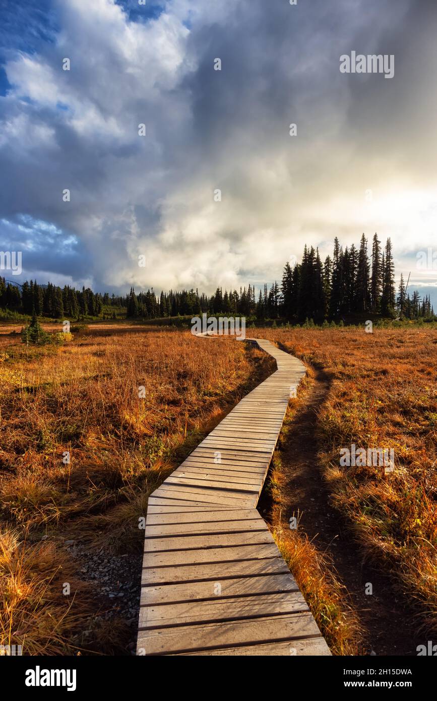 Hiking trail outdoors in Canadian nature Stock Photo - Alamy