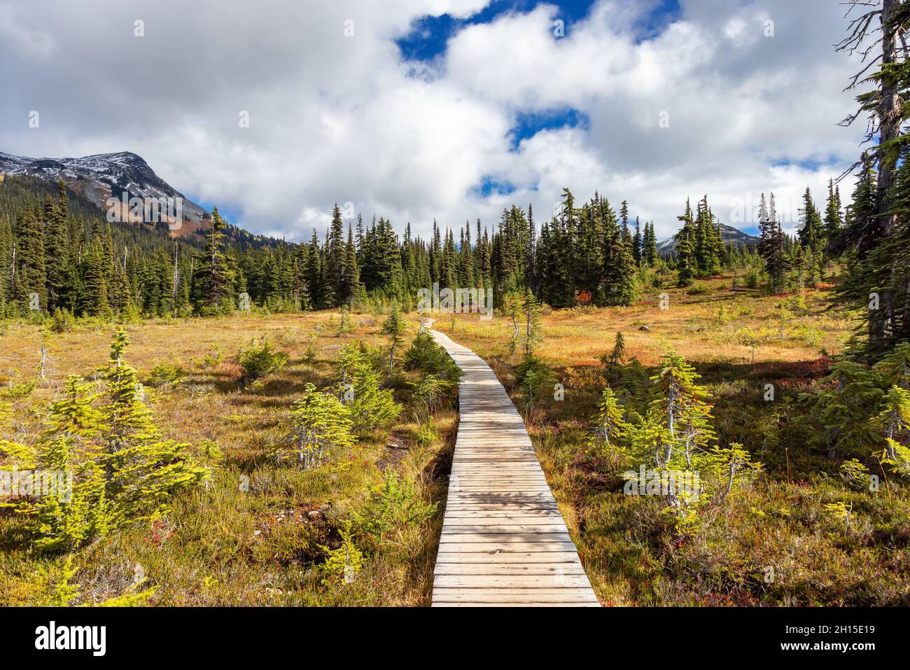 Hiking trail outdoors in Canadian nature Stock Photo - Alamy