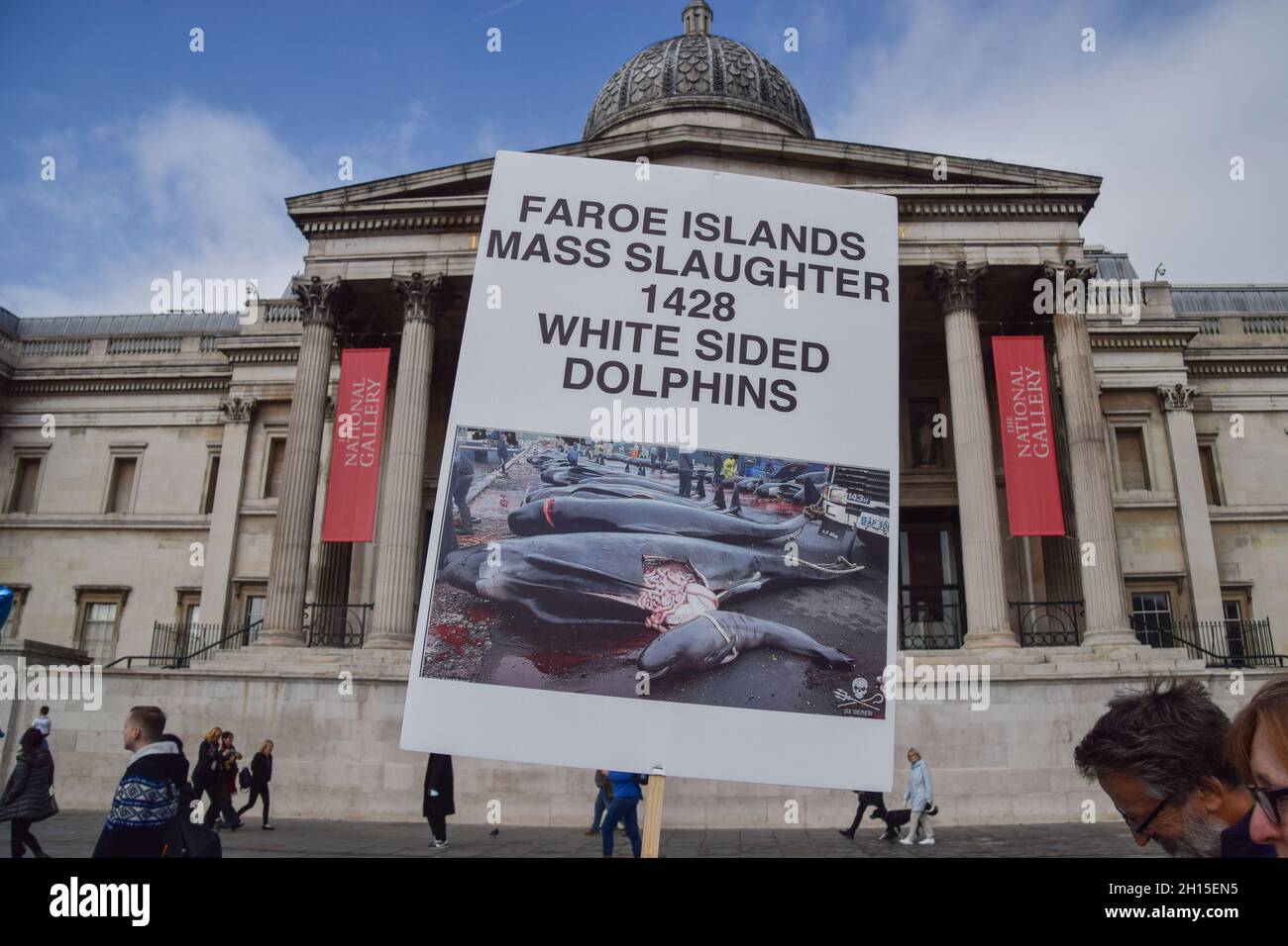 London, UK. 16th Oct, 2021. A protester holds a placard with a graphic image of dolphin killing in Faroe Islands during the demonstration in Trafalgar Square.Members of marine conservation organization Sea Shepherd and other activists marched through Westminster, calling for an end to the slaughter of dolphins in Faroe Islands and Taiji, Japan. (Photo by Vuk Valcic/SOPA Images/Sipa USA) Credit: Sipa USA/Alamy Live News Stock Photo