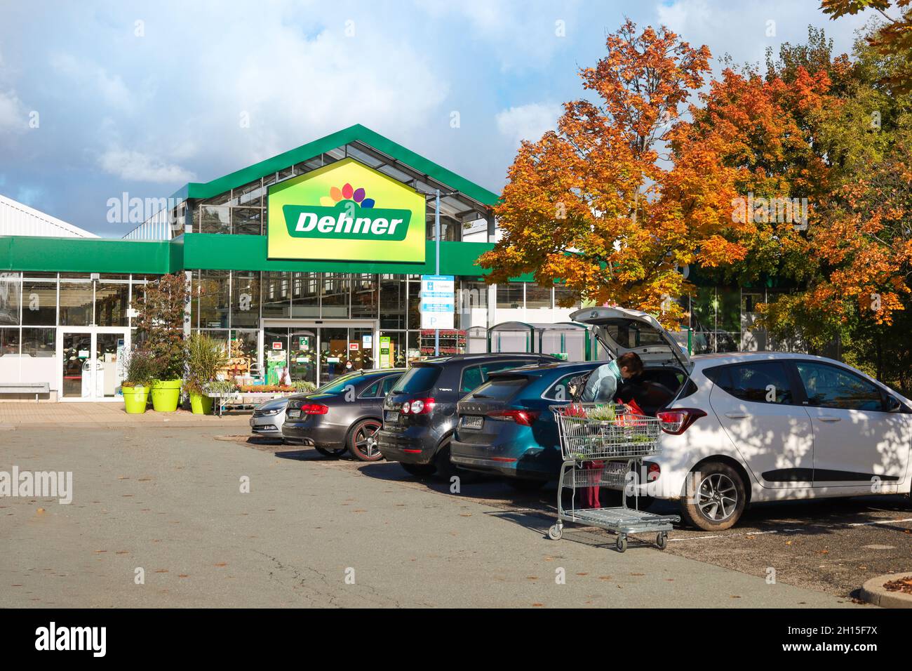 Wholesale plants hires stock photography and images Alamy
