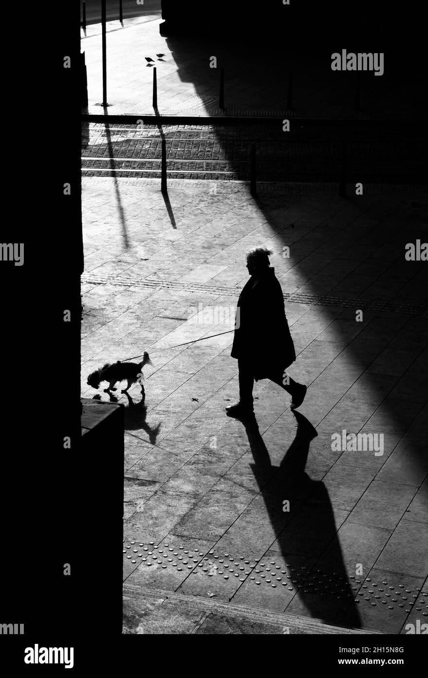 Shadow silhouette of a woman walking a small dog on a leash on city street in black and white Stock Photo