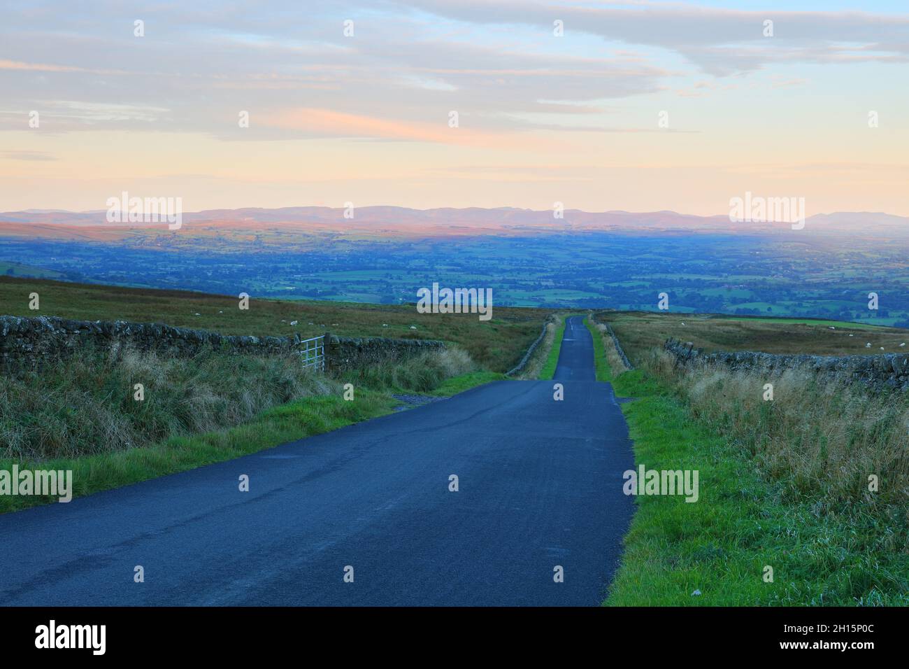 Long and lonely road hi-res stock photography and images - Alamy