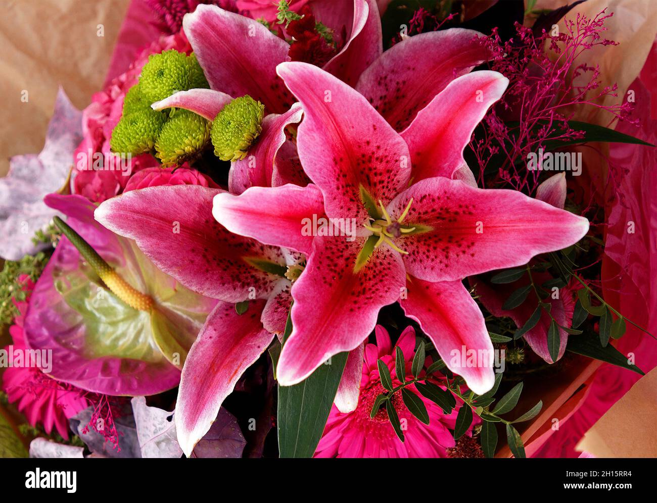 Closeup detail pink orchid hi-res stock photography and images - Alamy