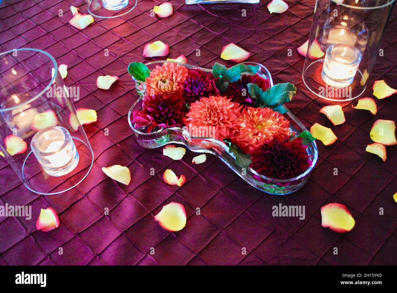 Alvar Aalto designed glass tray with floating dahlias on purple tablecloth Stock Photo