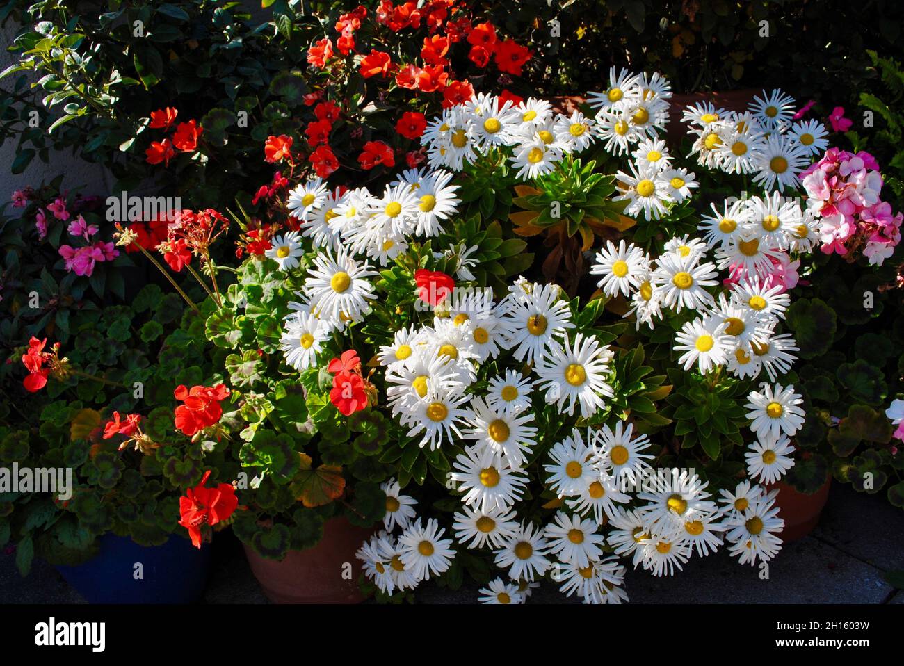 Ny rooftop garden hi-res stock photography and images - Alamy