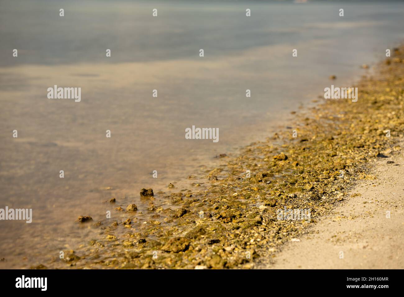 Smooth water surface hi-res stock photography and images - Alamy