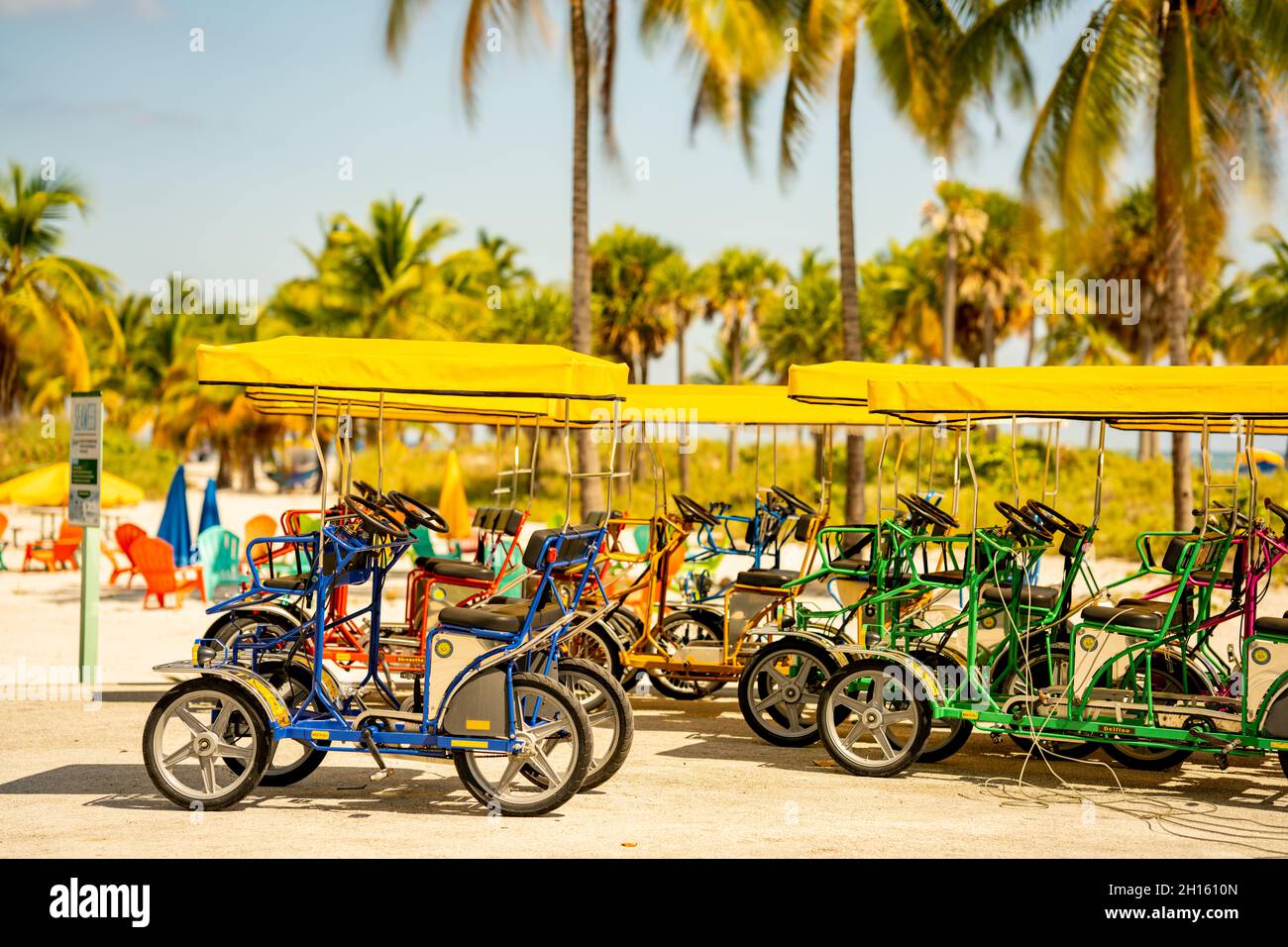 Four person bike rental