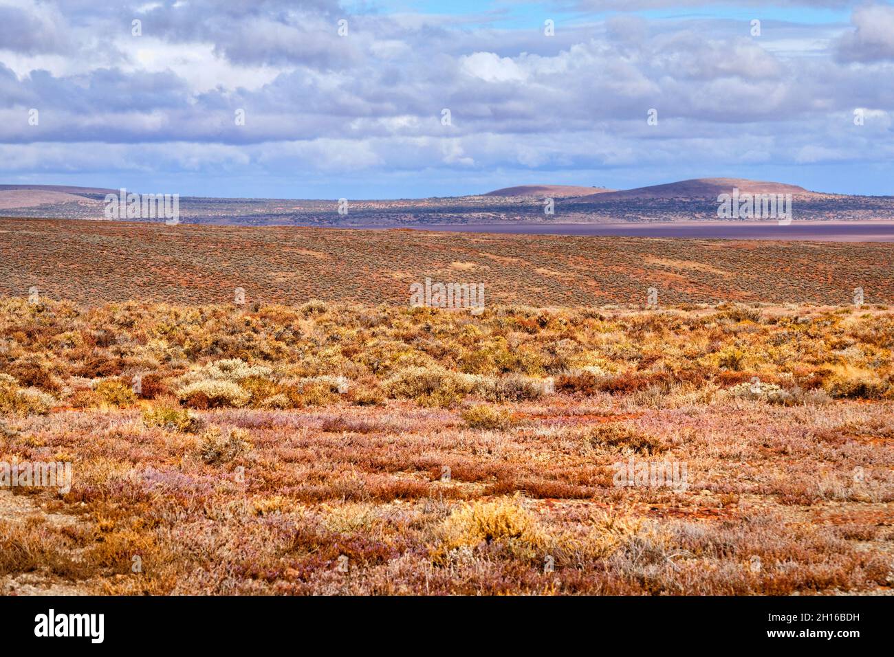 Australian outback landscape near Lake Gairdner, South Australia Stock Photo
