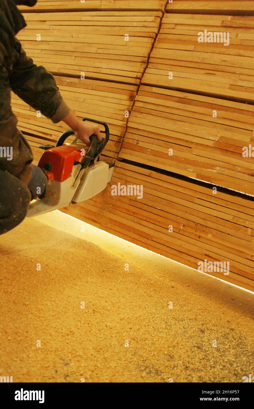 Worker cutting timber with saw in workshop Stock Photo - Alamy
