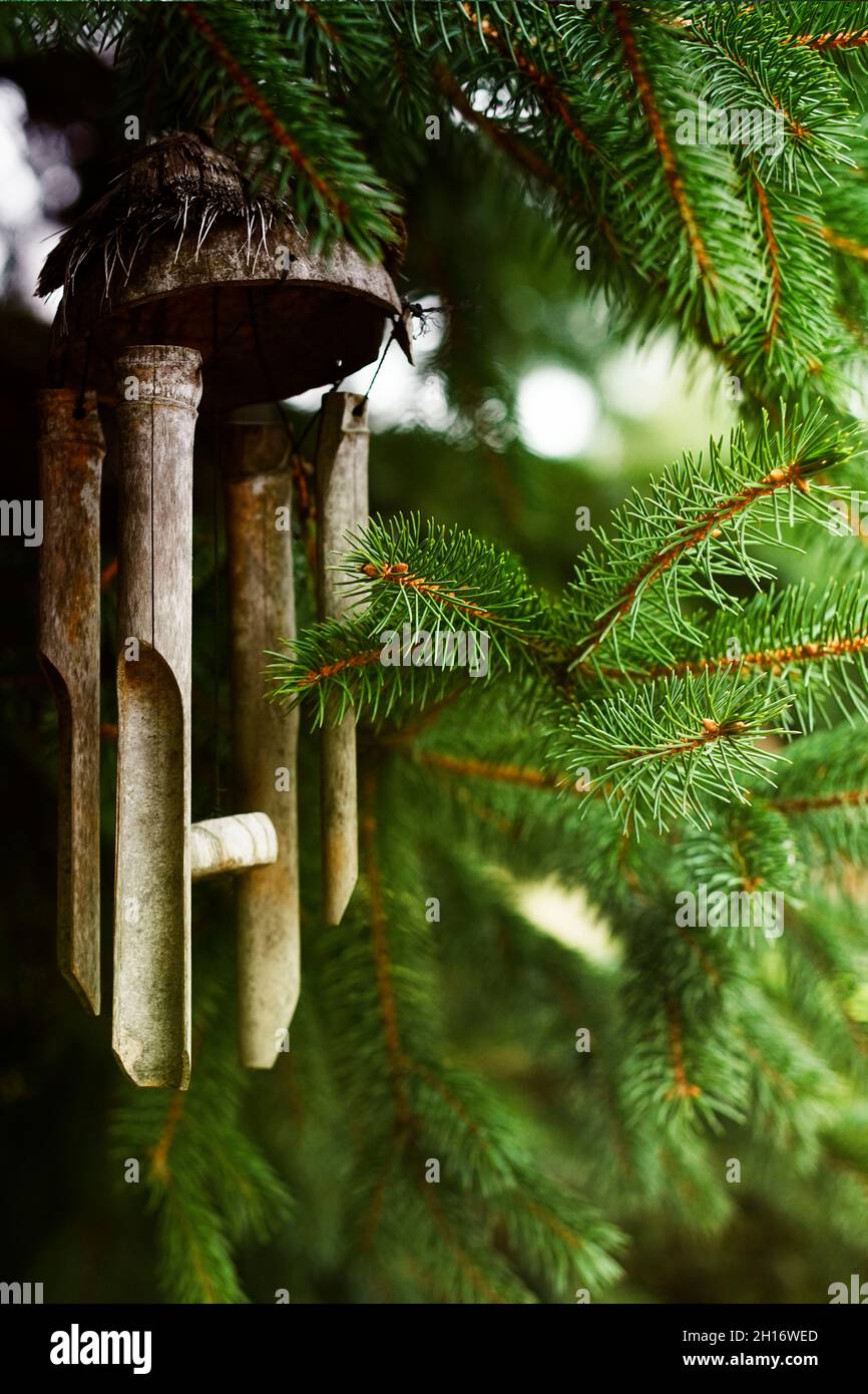 Wind chimes hanging in a Christmas tree. Bamboo chimes in the garden. Stock Photo