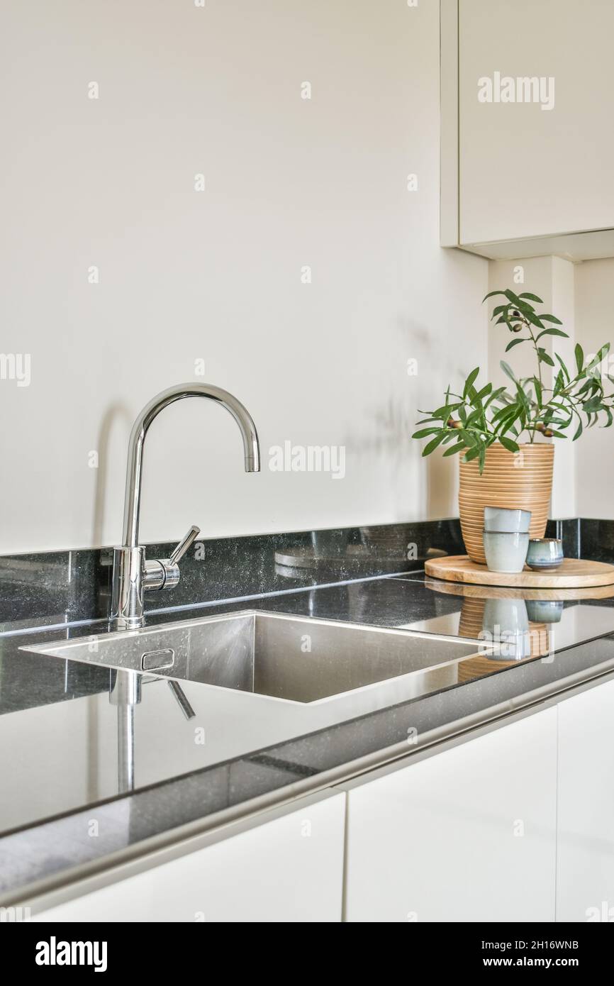 Shiny metal sink with chrome tap installed near potted plant in