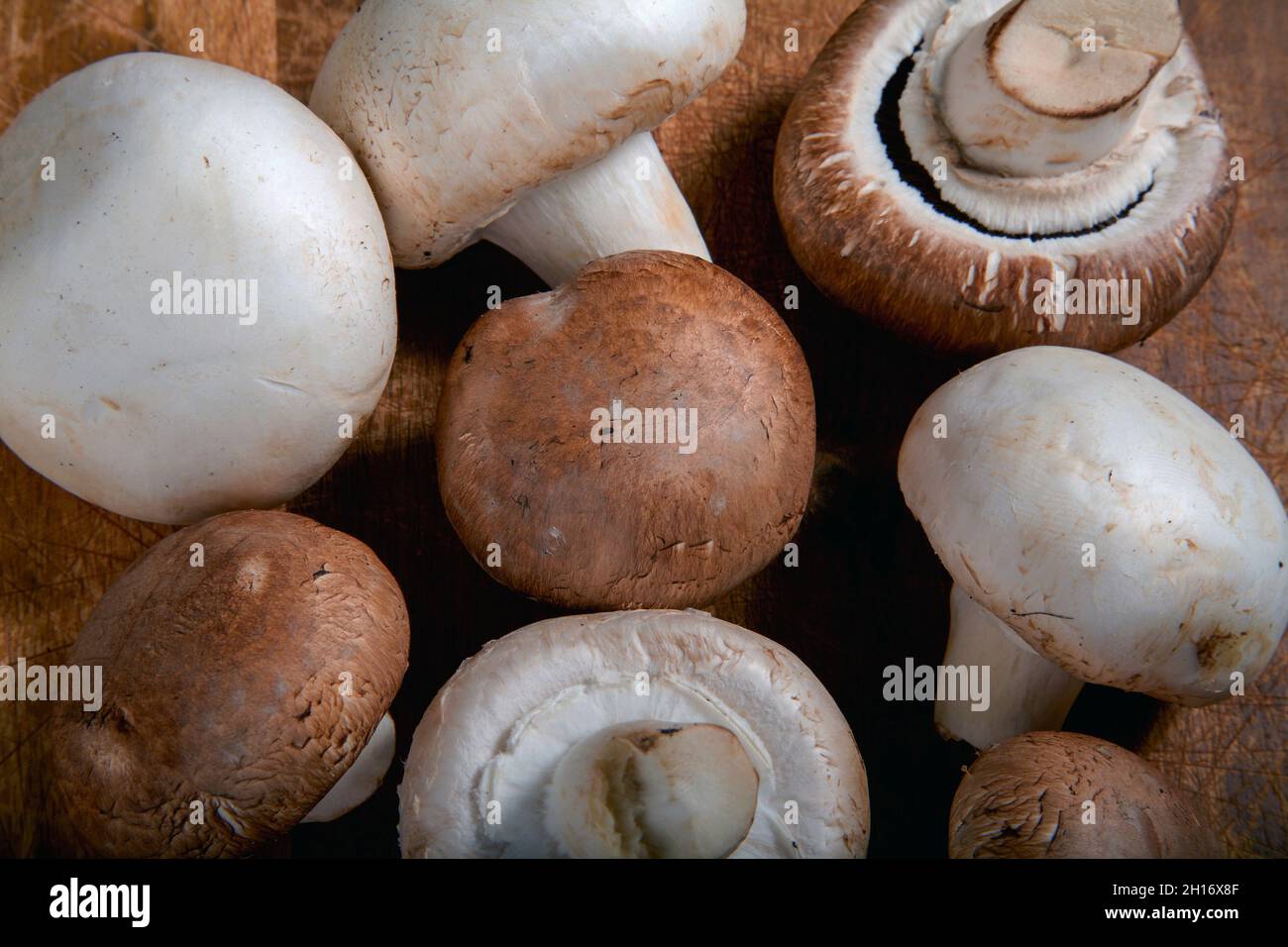 Champignon Mushrooms from above on wooden background Stock Photo