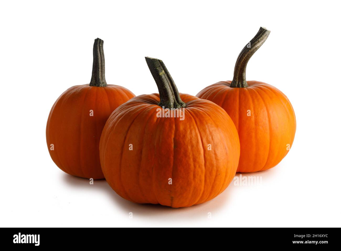 Three orange pumpkin isolated on white background Stock Photo - Alamy