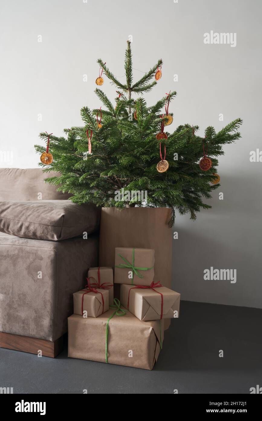 Small christmas tree with natural decorations and presents indoor near couch with window light, holidays Stock Photo