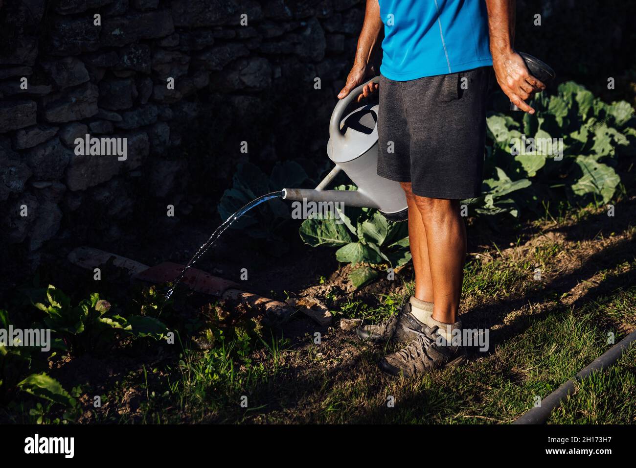 Side View Of Anonymous Male Farmer With Watering Can Pouring Water On Vegetables While Standing