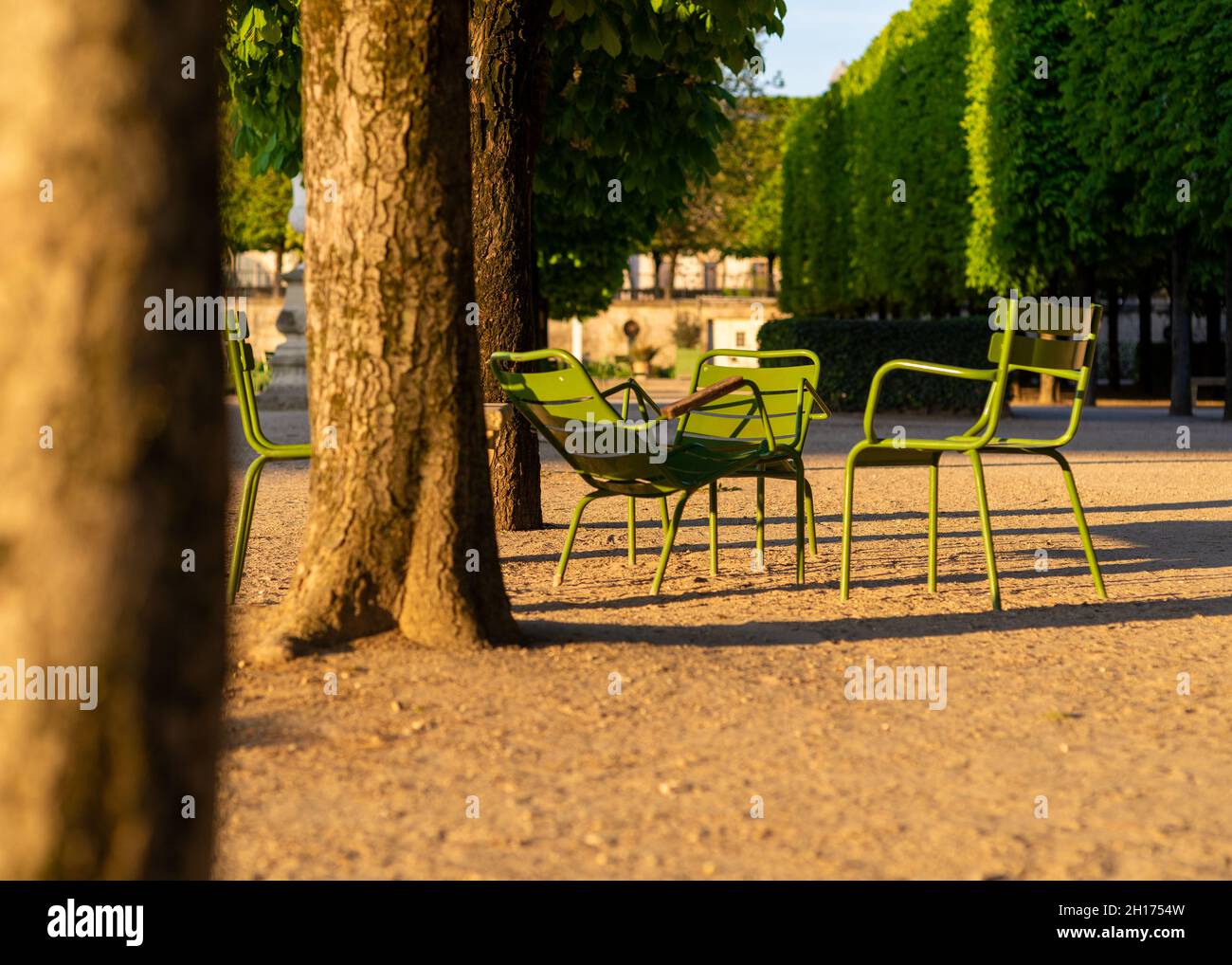 Empty chairs in the Tuileries garden in Paris, with chestnut trees, taken in a sunny spring morning Stock Photo