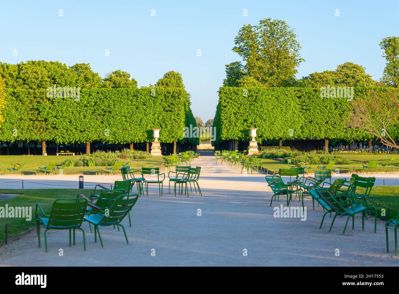 Stone urns and empty chairs in the Tuileries garden in Paris along an alley with row of chestnut trees in the background, seen from afar and taken in Stock Photo