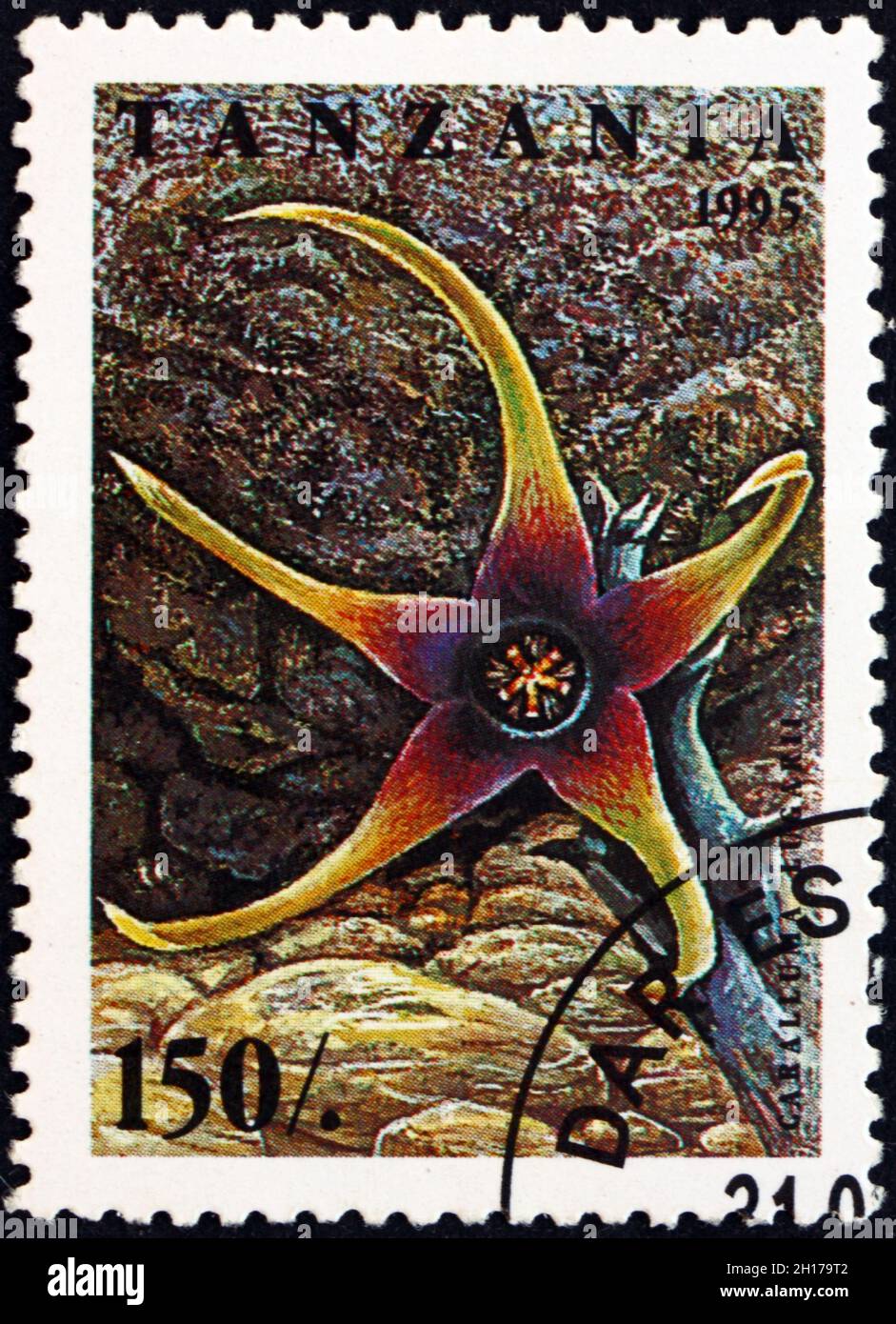 TANZANIA - CIRCA 1995: a stamp printed in Tanzania shows Caralluma lugarii, flowering plant, circa 1995 Stock Photo