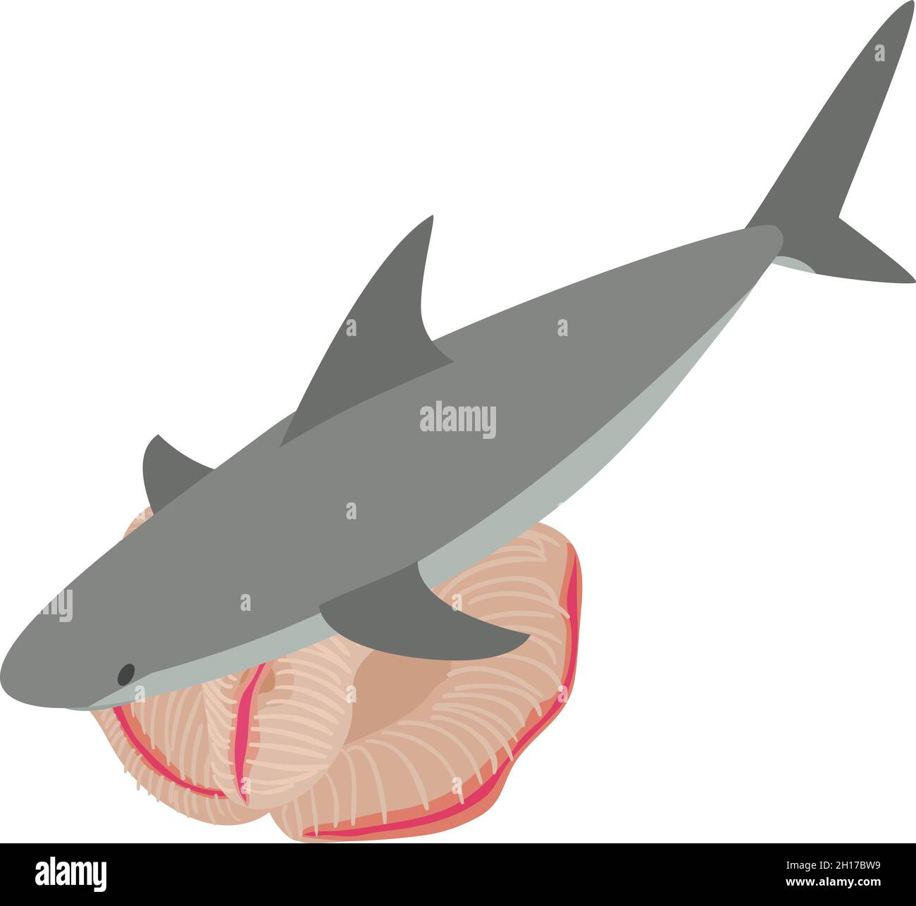 Underwater world icon isometric vector. Big gray shark and beautiful coral reef. Marine environment, sea animal Stock Vector