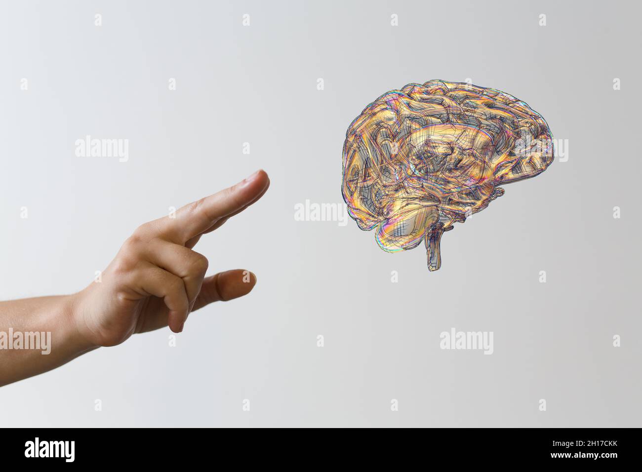 A human's fingers interacting with a Human brain Anatomical Model, 3d