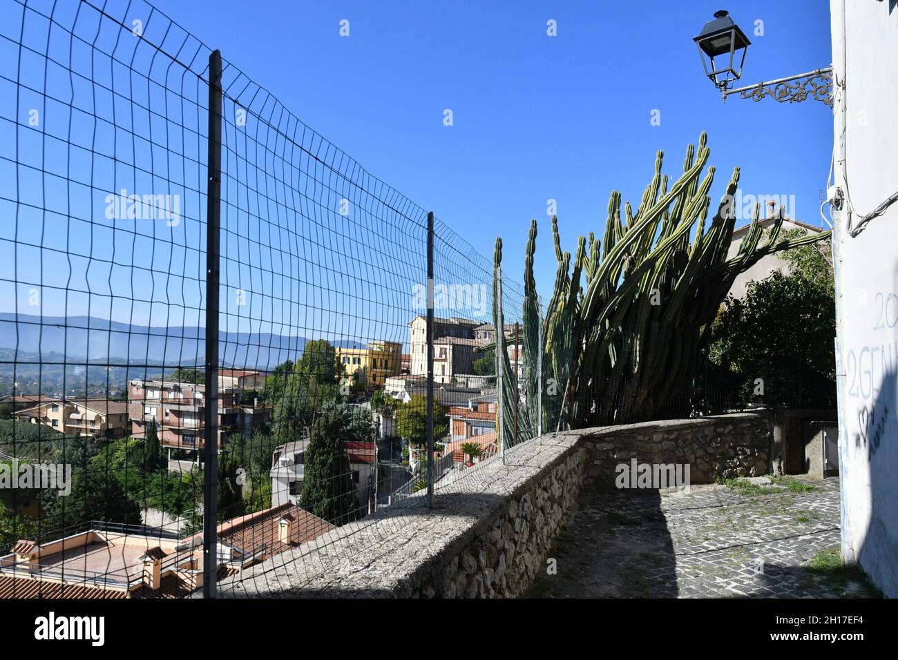 Ripi High Resolution Stock Photography And Images Alamy