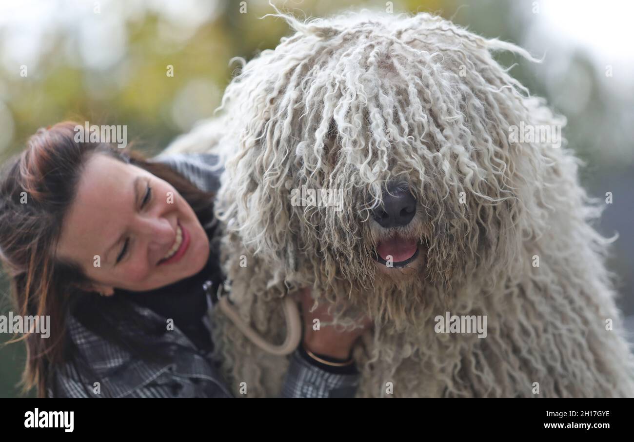 Rostock, Germany. 17th Oct, 2021. A participant visits the 18th International Pedigree Dog Show at the HanseMesse with her Komondor 'Bogor'. Around 2,000 pedigree dogs from 250 different breeds compete in various competitions at the Rostock Pedigree Dog Show. Credit: Danny Gohlke/dpa/Alamy Live News Stock Photo