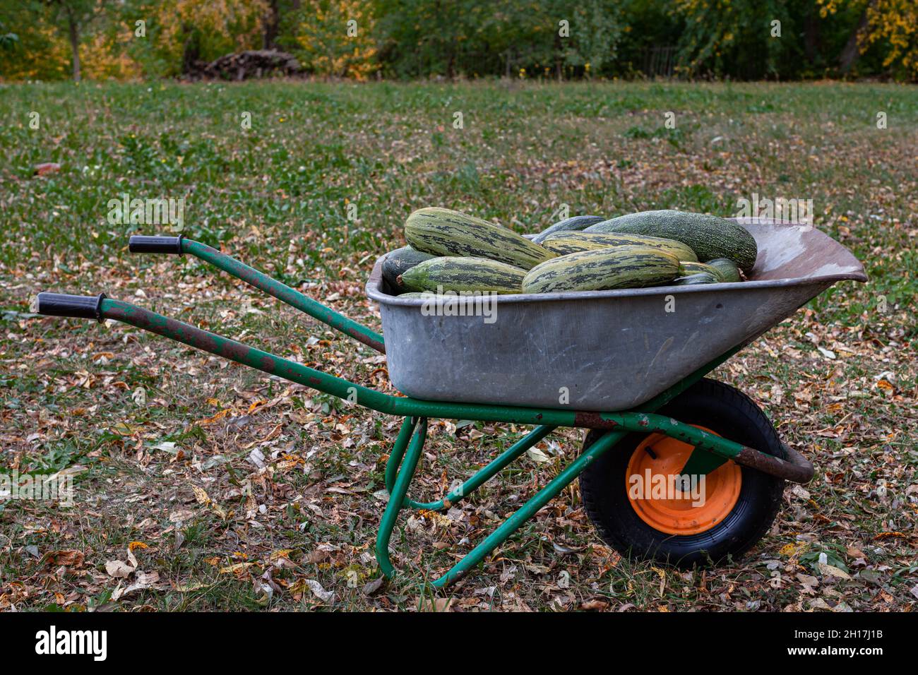 One wheelbarrow deals