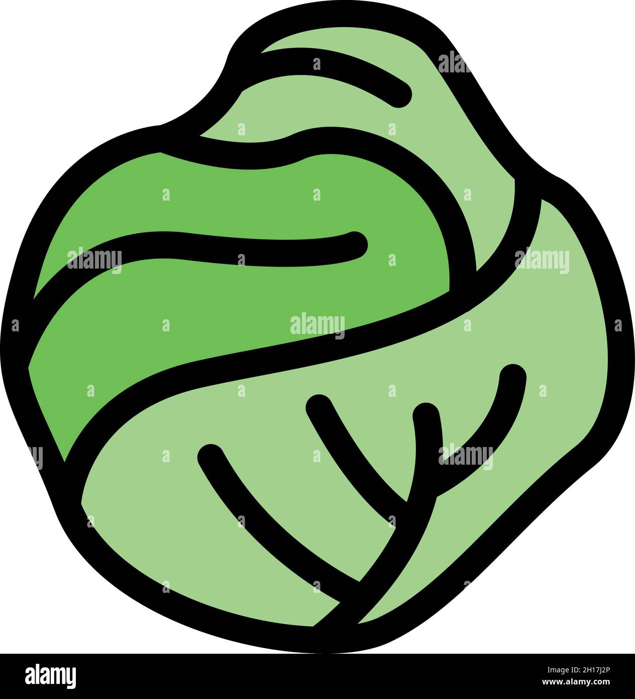 Bio cabbage icon. Outline bio cabbage vector icon color flat isolated ...