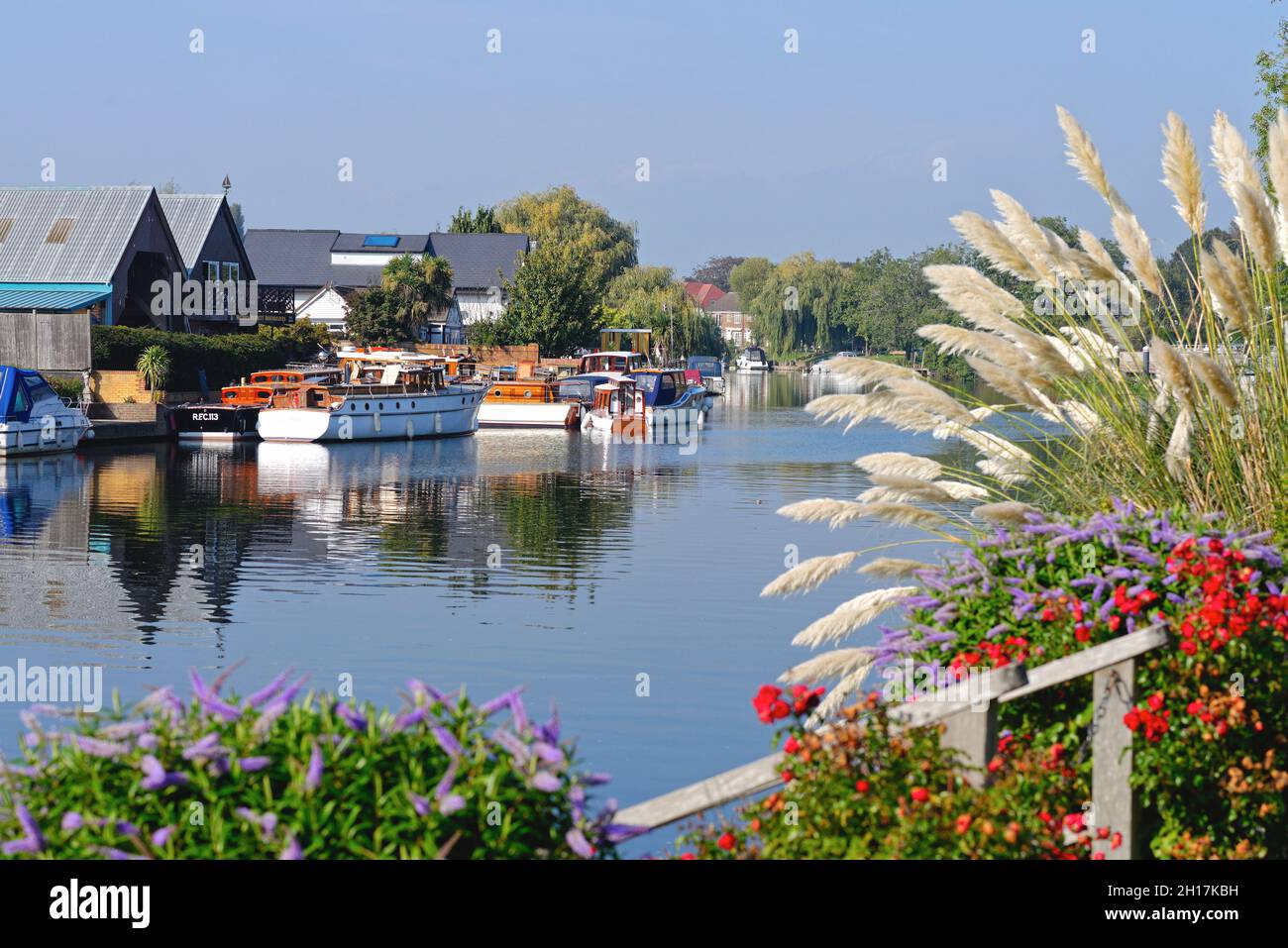 The River Thames at Laleham on a sunny early autumn day, Surrey England