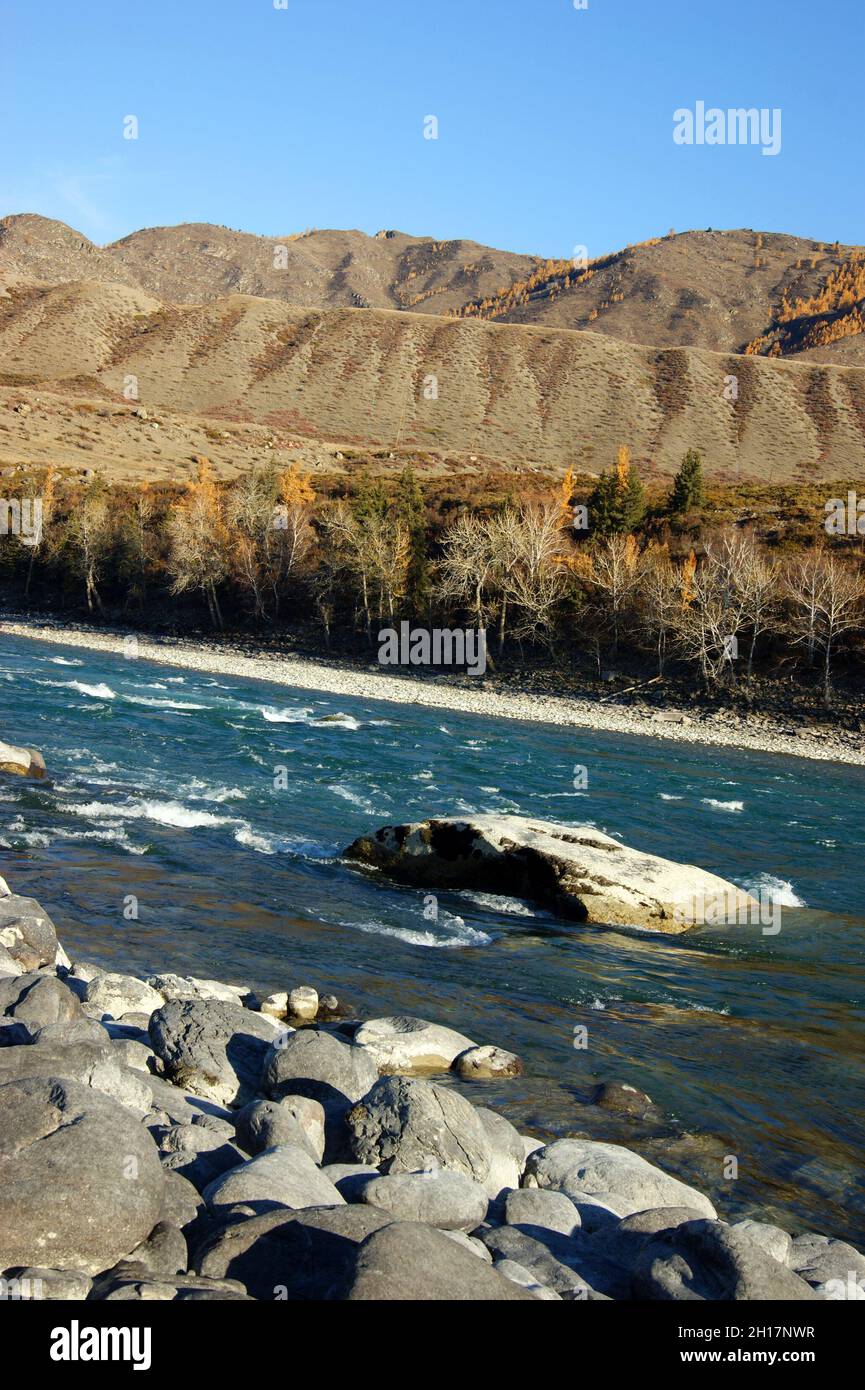 Beautiful mountain river with tempestuous current in siberia Stock Photo