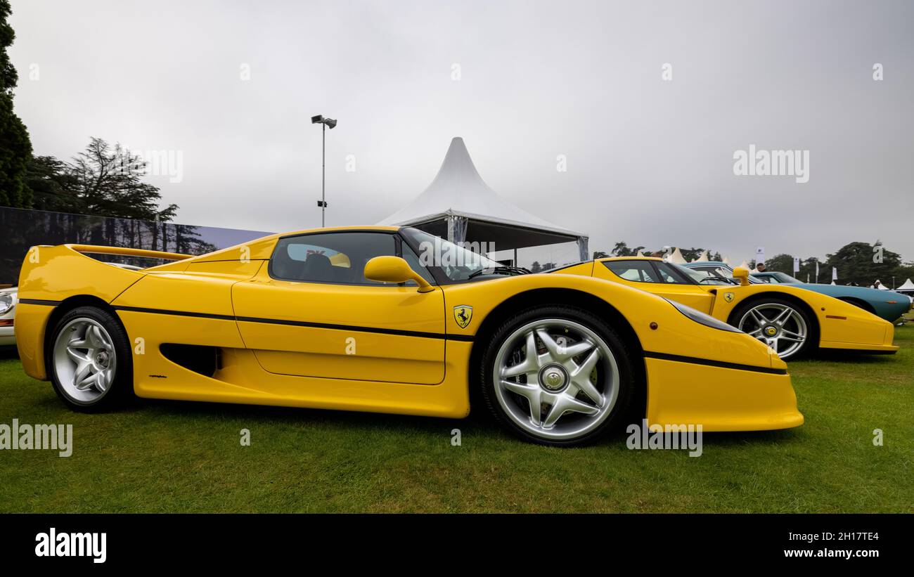 f50 gialle