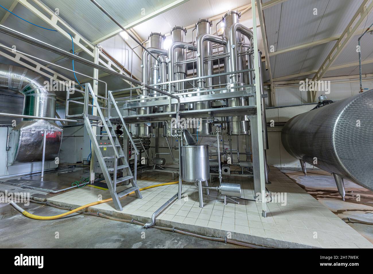 Technological equipment in modern dairy facilities.Production of dairy