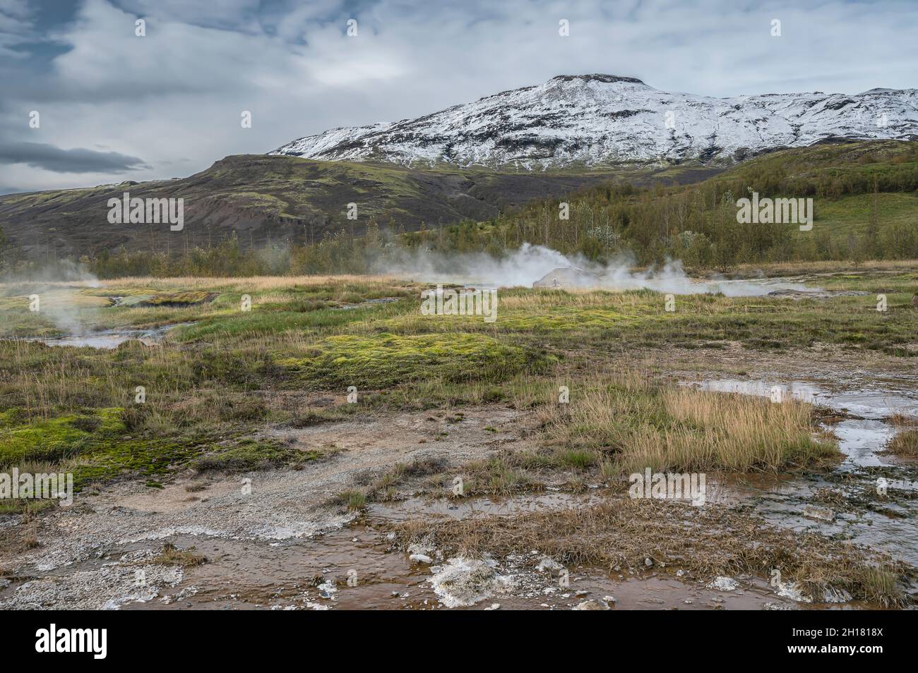 Steam escaping form the ground at the Strokkur Geyser area in Iceland Stock Photo