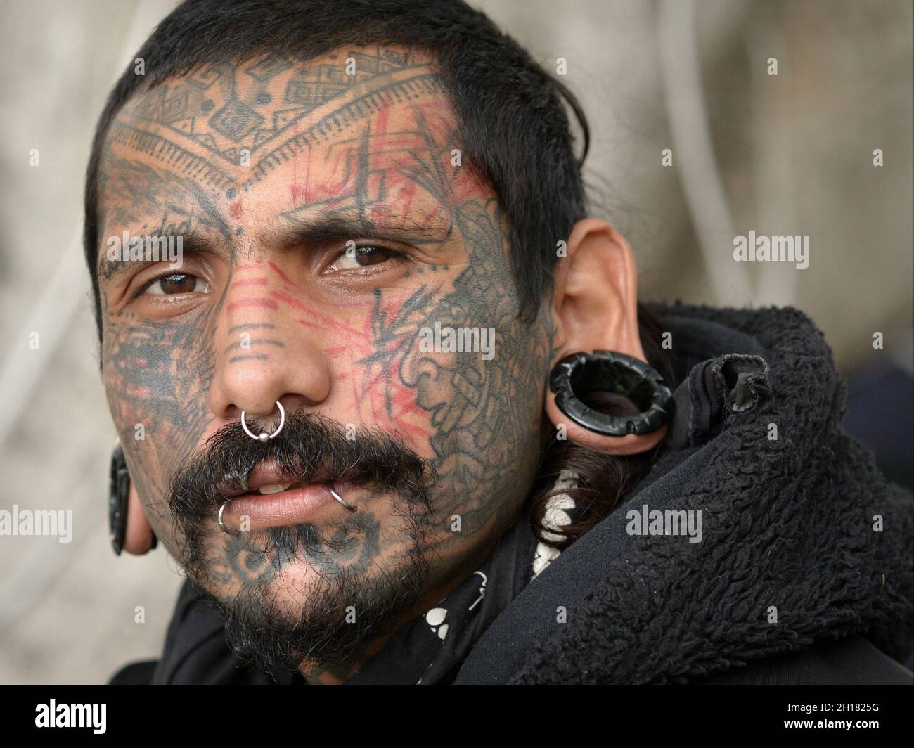 Young Mexican man with Mayan folk-art facial tattoos, lip piercings, septum piercing and gauged ear lobes with large ear plugs looks at the viewer. Stock Photo