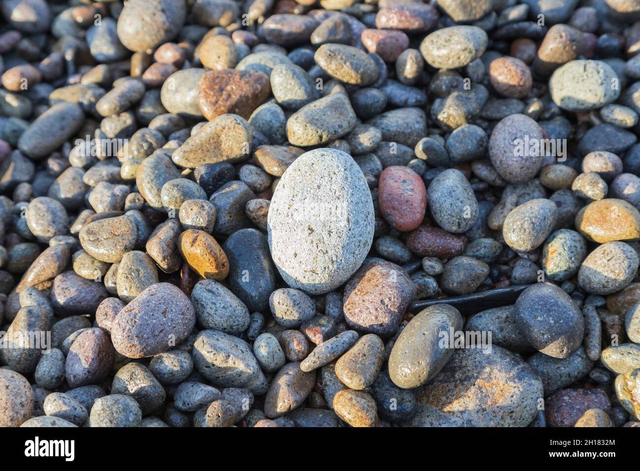 smooth stones on the beach Stock Photo