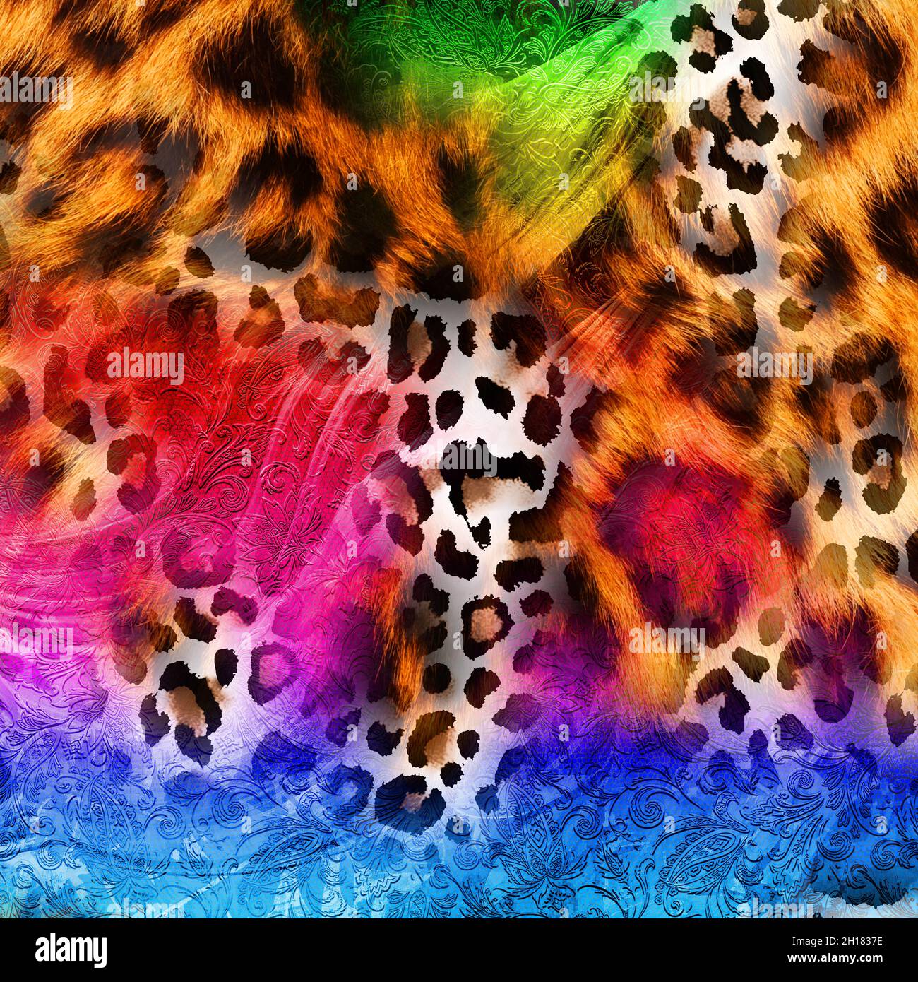 Clothes Color Pattern Design colorful fashion patterns, textile print designs Stock Photo - Alamy
