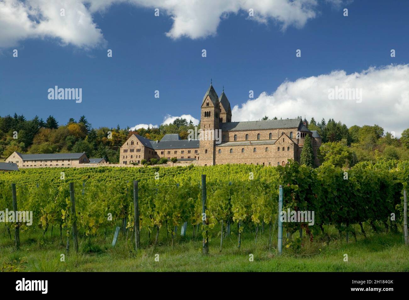 The monastery of St. Hildegard with vineyards, Eibingen near Ruedesheim, founded by Hildegard von Bingen, Rheinland Pfalz, Germany, Europe Stock Photo