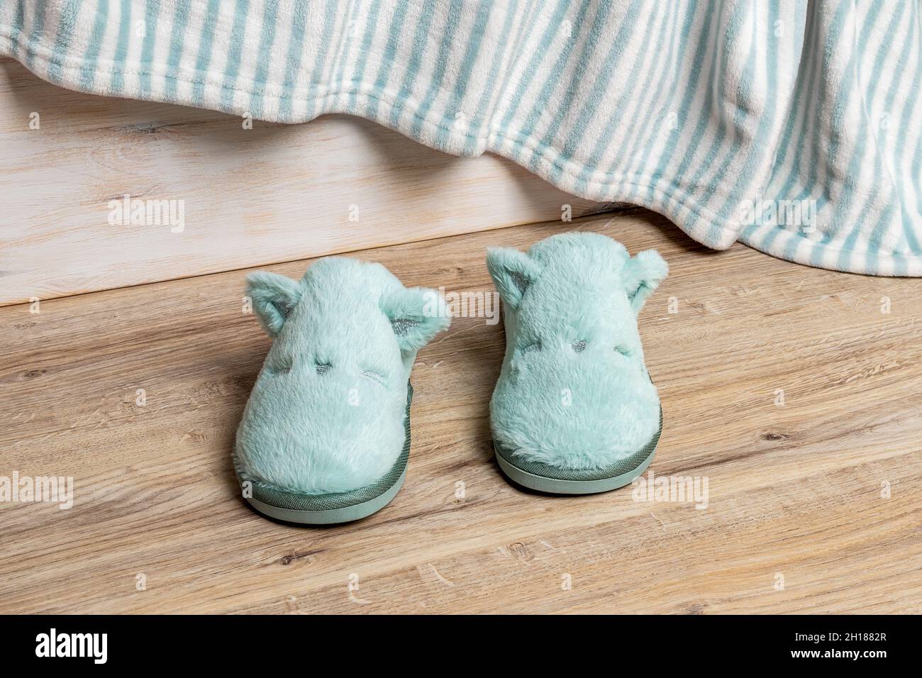 Pair of cat face blue slippers on the floor in the bedroom. New soft fleece cozy slippers for cold winter season. Funny comfy home shoes. Stock Photo