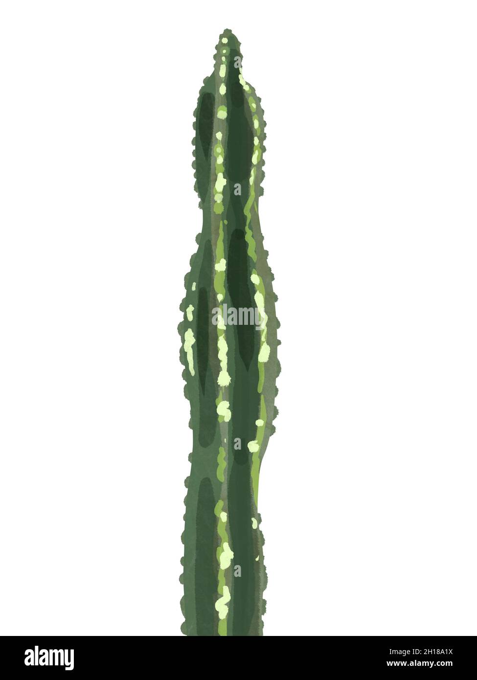 Watercolor cactus, isolated on a white background Stock Photo - Alamy