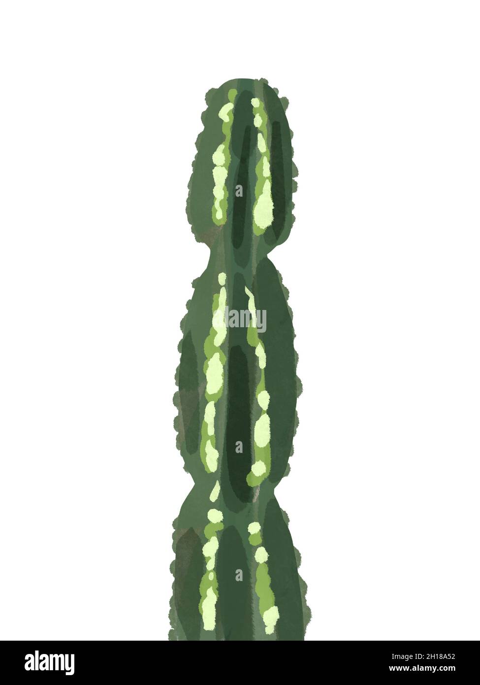 Watercolor cactus, isolated on a white background Stock Photo - Alamy