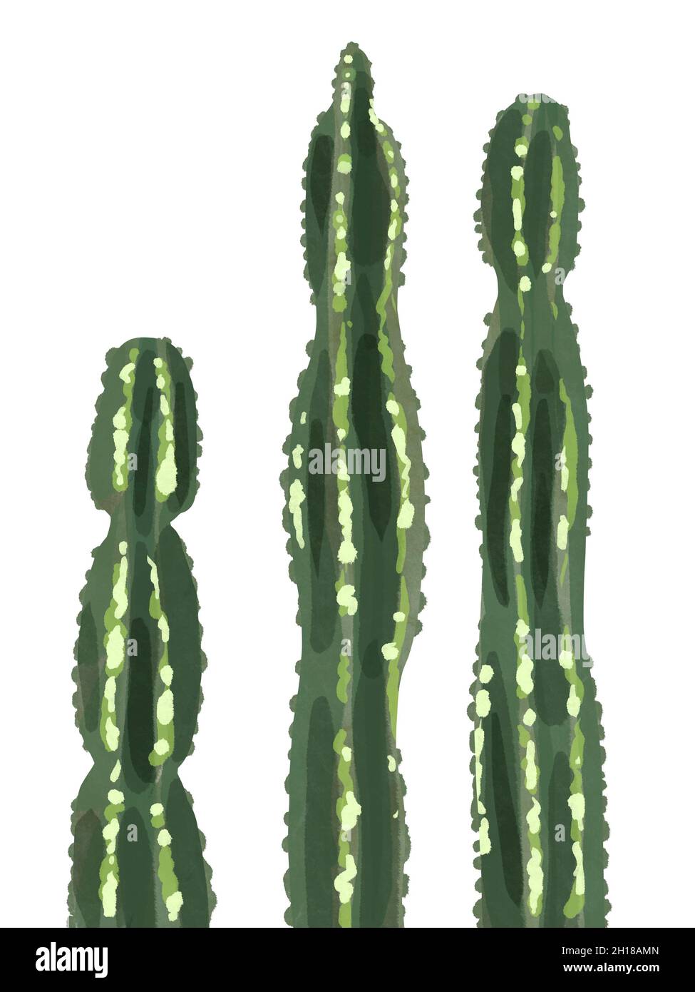 Watercolor cactus, isolated on a white background Stock Photo - Alamy