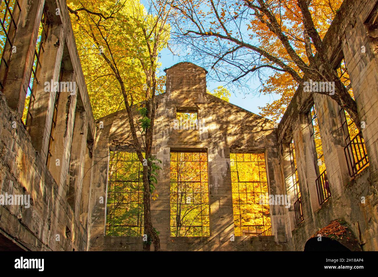 Fall colours at the ruins of an old laboratory. Gatineau Park, Quebec, Canada Stock Photo