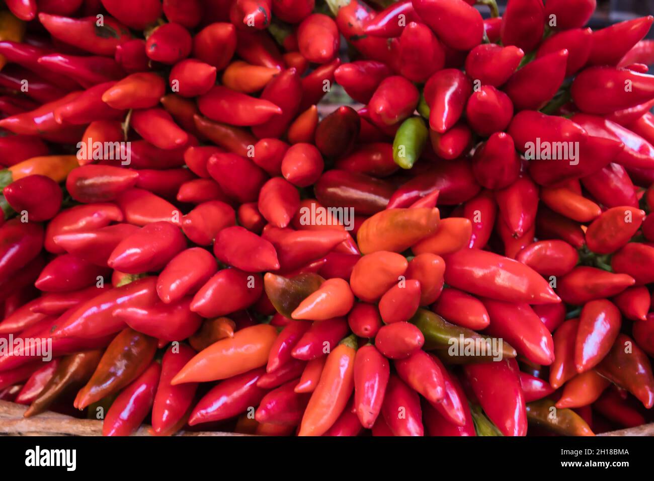 Close up of a bunch of red chillies at the Ballarò market in Palermo Stock Photo