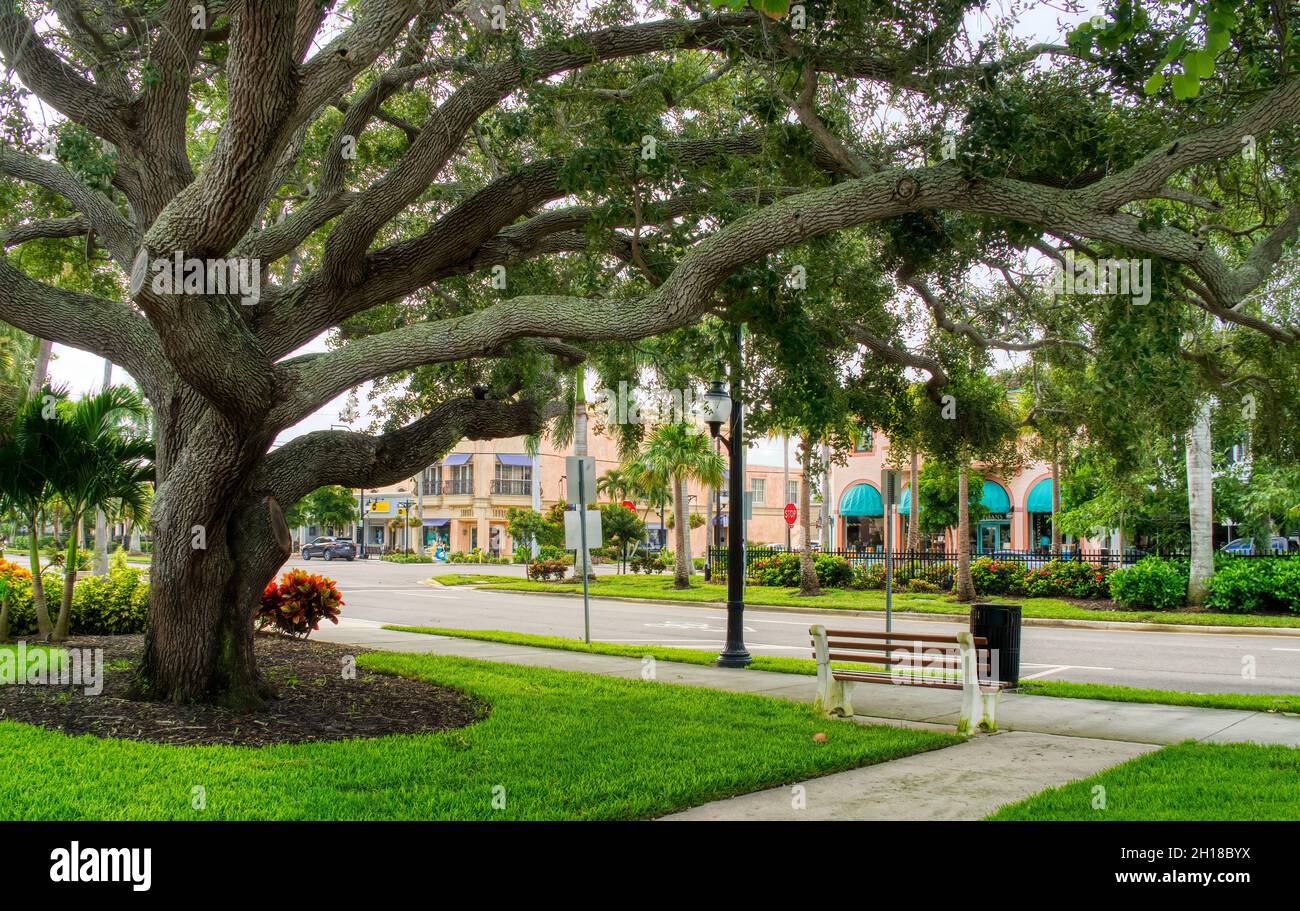 West Venice Avenue in historic downtown Venice in southwest Florida USA Stock Photo Alamy
