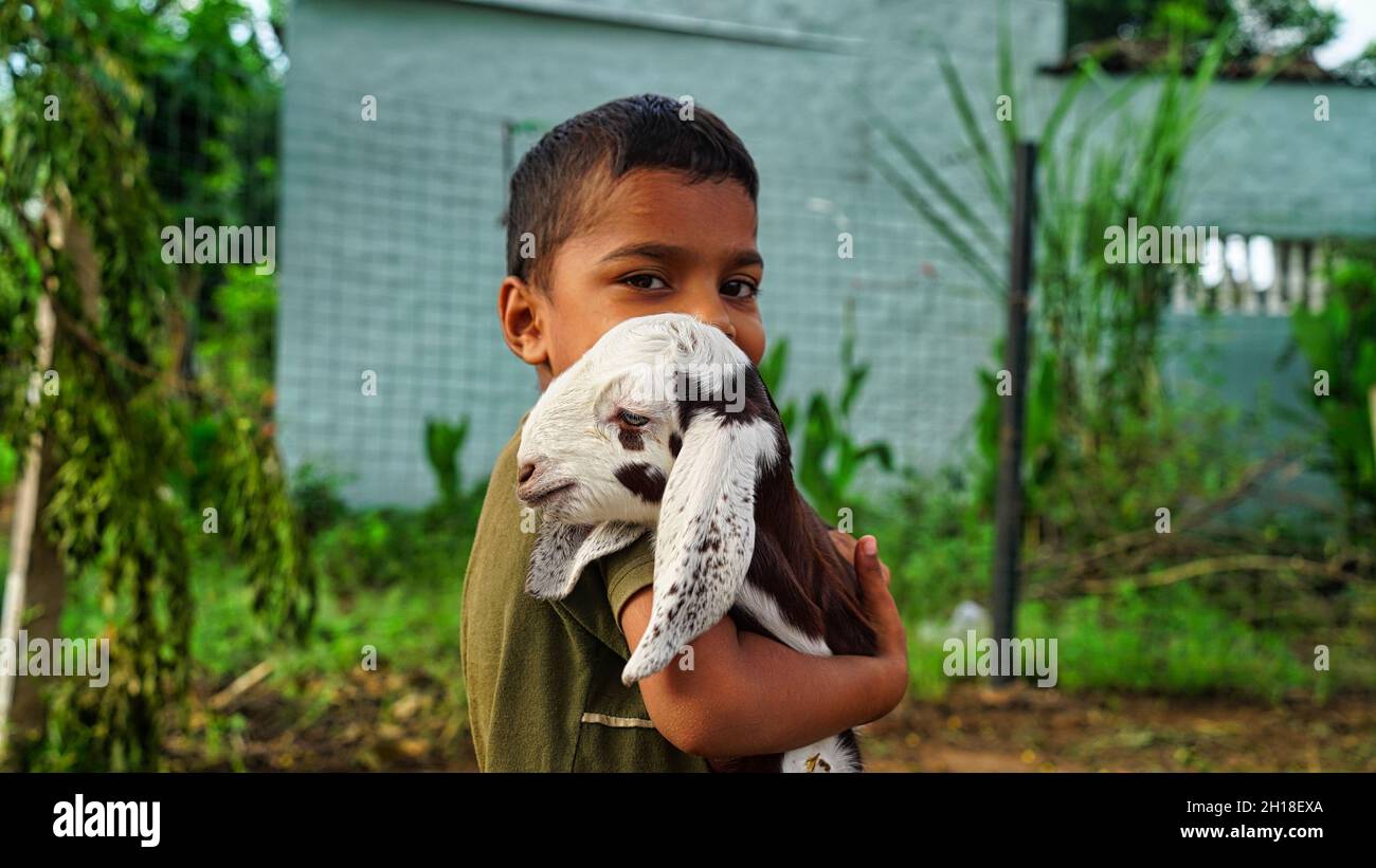 Portrait Of Beautiful Happy Dreamy Little Boy Embracing Little Favorite Goat In Grass In Spring Garden Close Up. Stock Photo