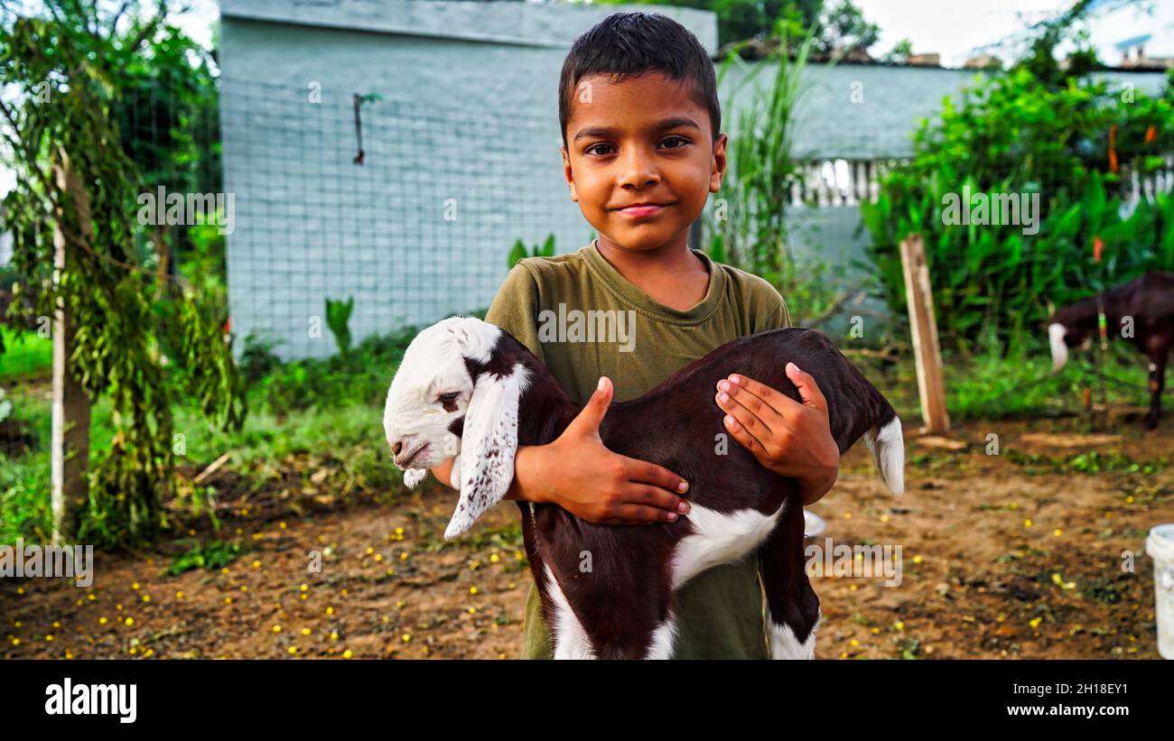Indian little boy holding the small goat. Friendship of child and yeanling, image toned. Stock Photo