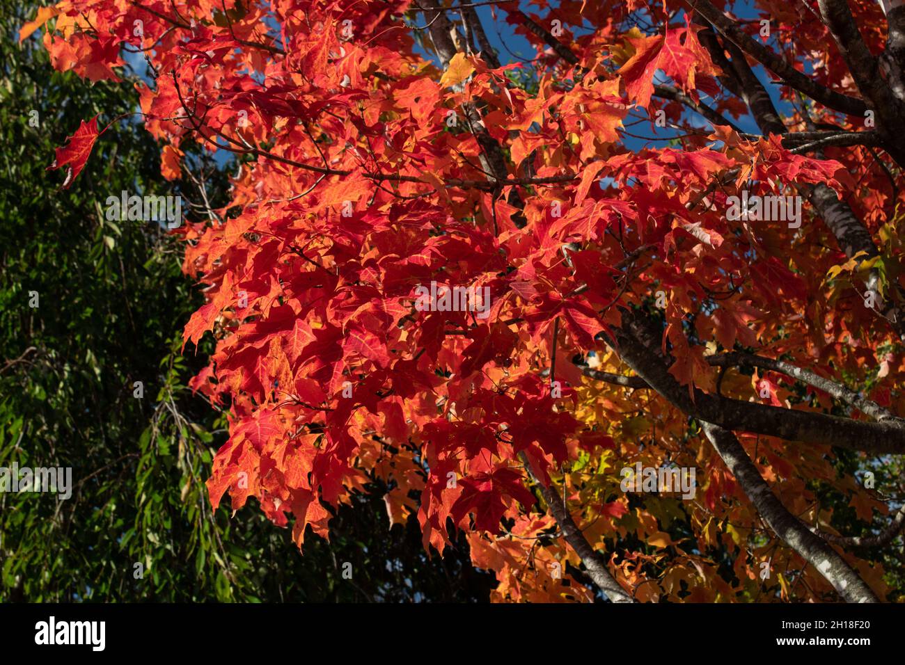 Changing seasons sunny hi-res stock photography and images - Alamy