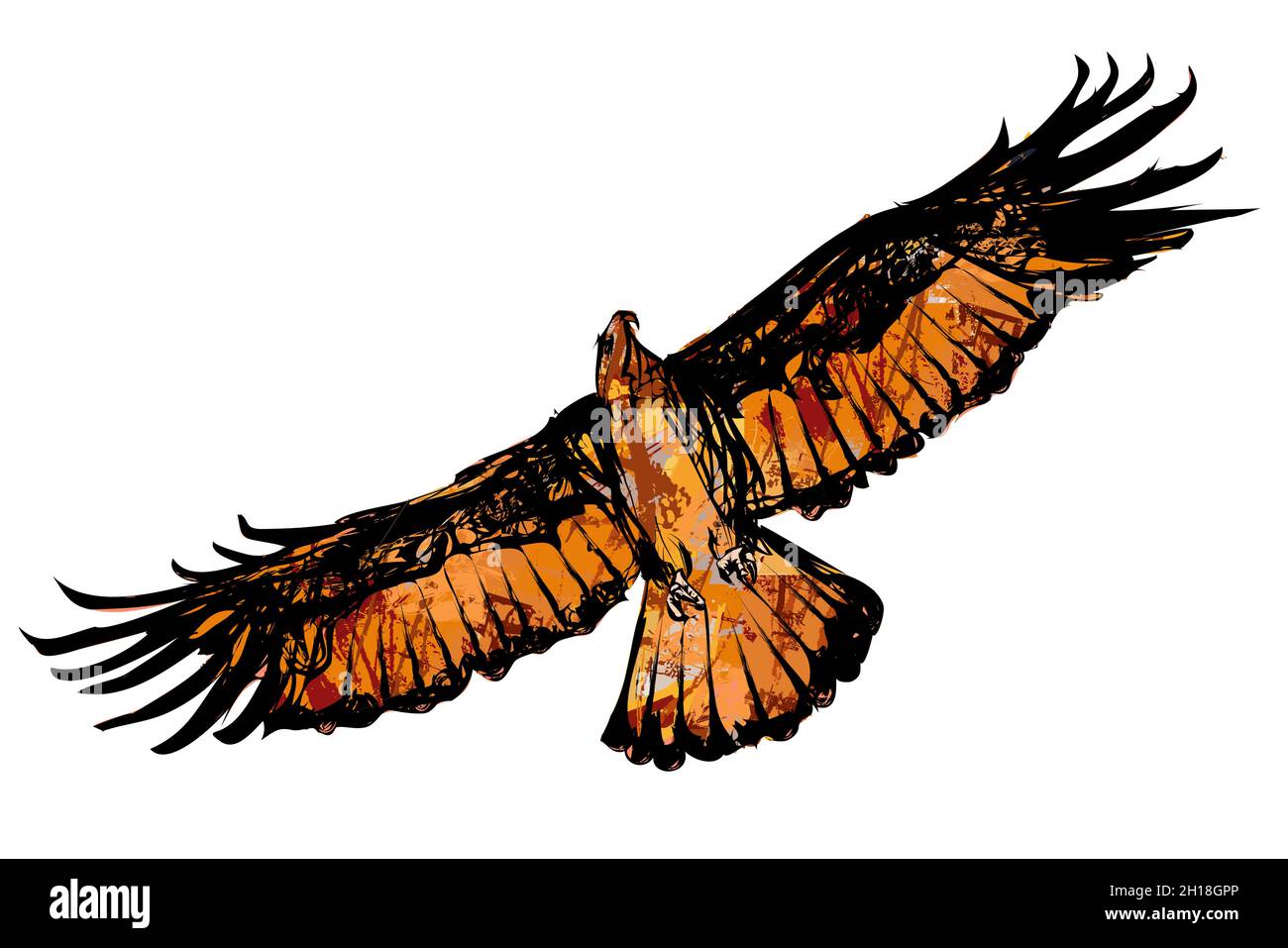 Eagle flying searching for pray -  vector illustration Stock Vector